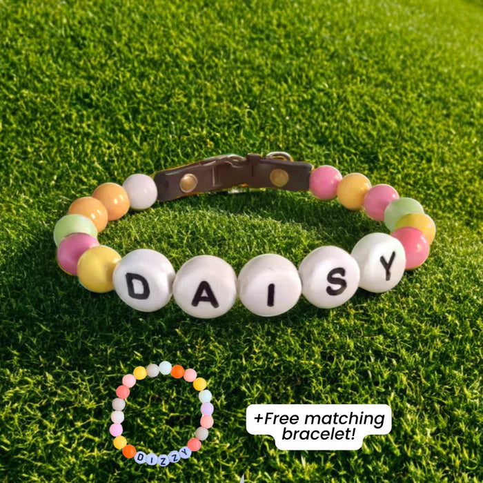 BFF Custom Dog Collar VIP