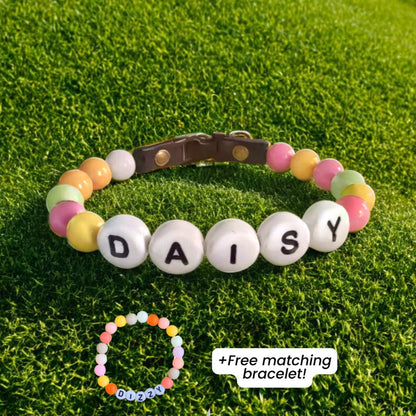 BFF Custom Dog Collar VIP