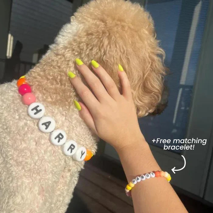 BFF Custom Dog Collar VIP