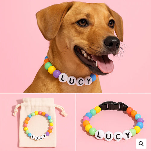 3x BFF Dog Collar + Free Matching Bracelet Bundle VIP