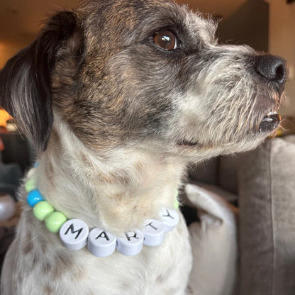 BFF Custom Dog Collar VIP