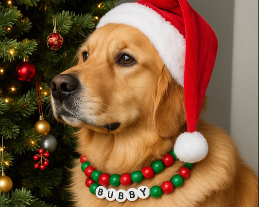 Christmas BFF Dog Collar+ Matching Bracelet