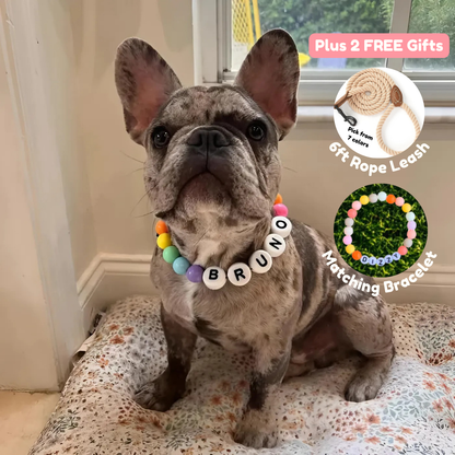 BFF Custom Dog Collar VIP