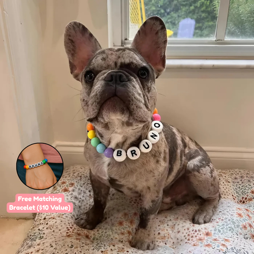 BFF Dog Collar + Free Matching Bracelet VIP