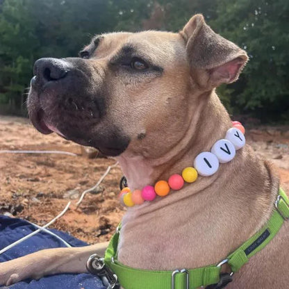 BFF Custom Dog Collar VIP